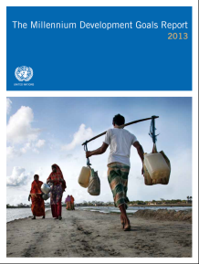 UN publishes The Millennium Development Goals Report 2013